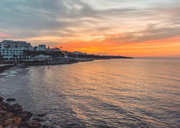 Monastir Dog Friendly Hotels