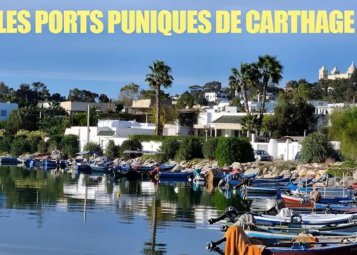 Villas à Carthage