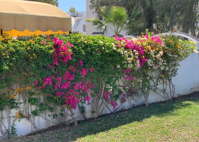 Hôtels accueillant des animaux domestiques à Korba