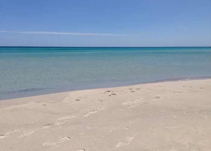 Hôtels Avec Piscine à Kelibia