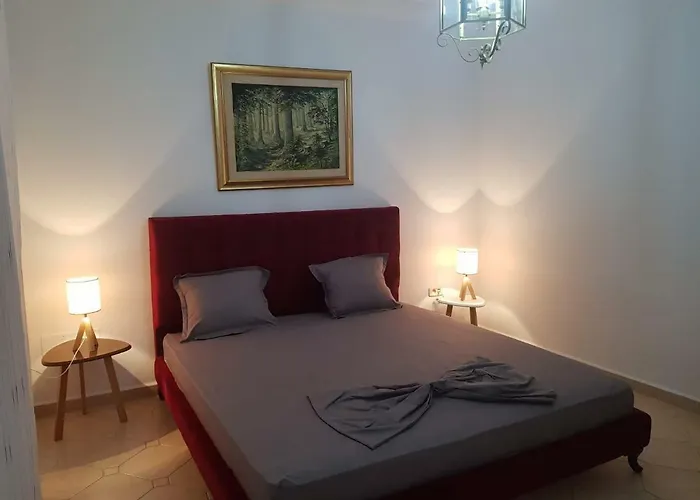 Hotel con animali ammessi a Tunisi